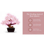 Aura Rose Quartz Crystal Tree Bonsai Style - Love and Emotional Healing
